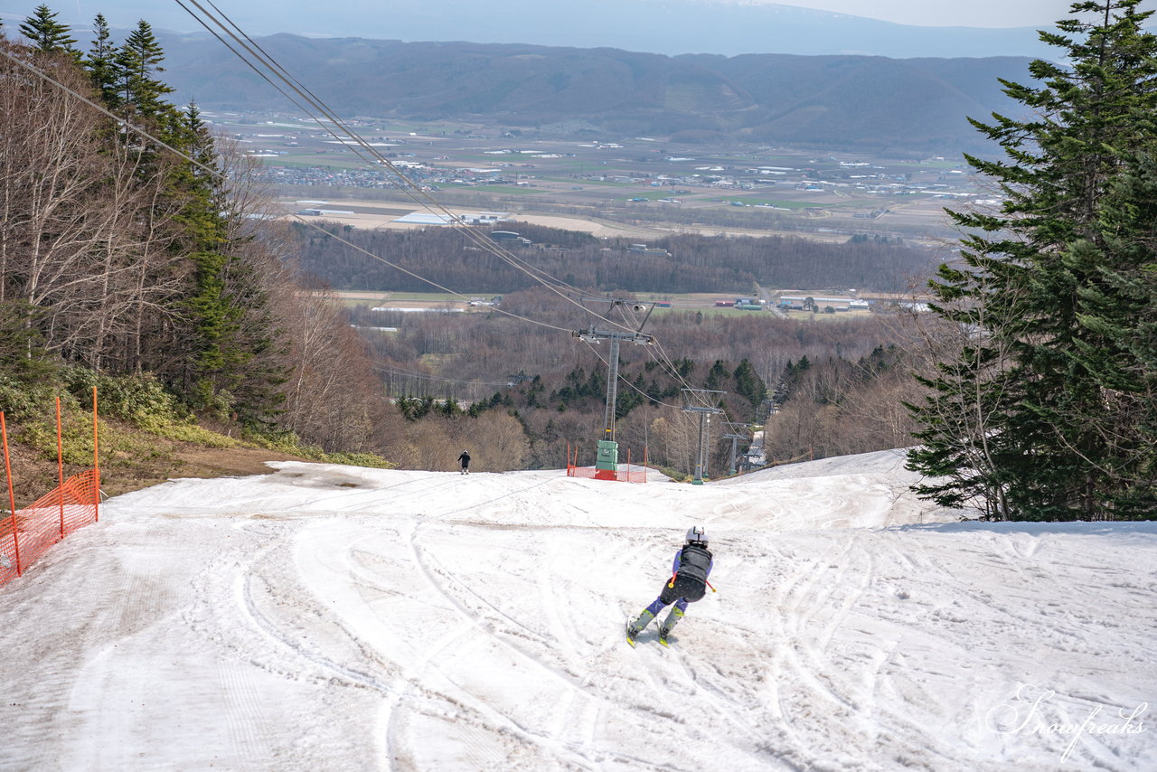 富良野スキー場　さすが富良野！4月24日現在、山麓までの全長約3,000ｍロングコースがオープン中(^^)/